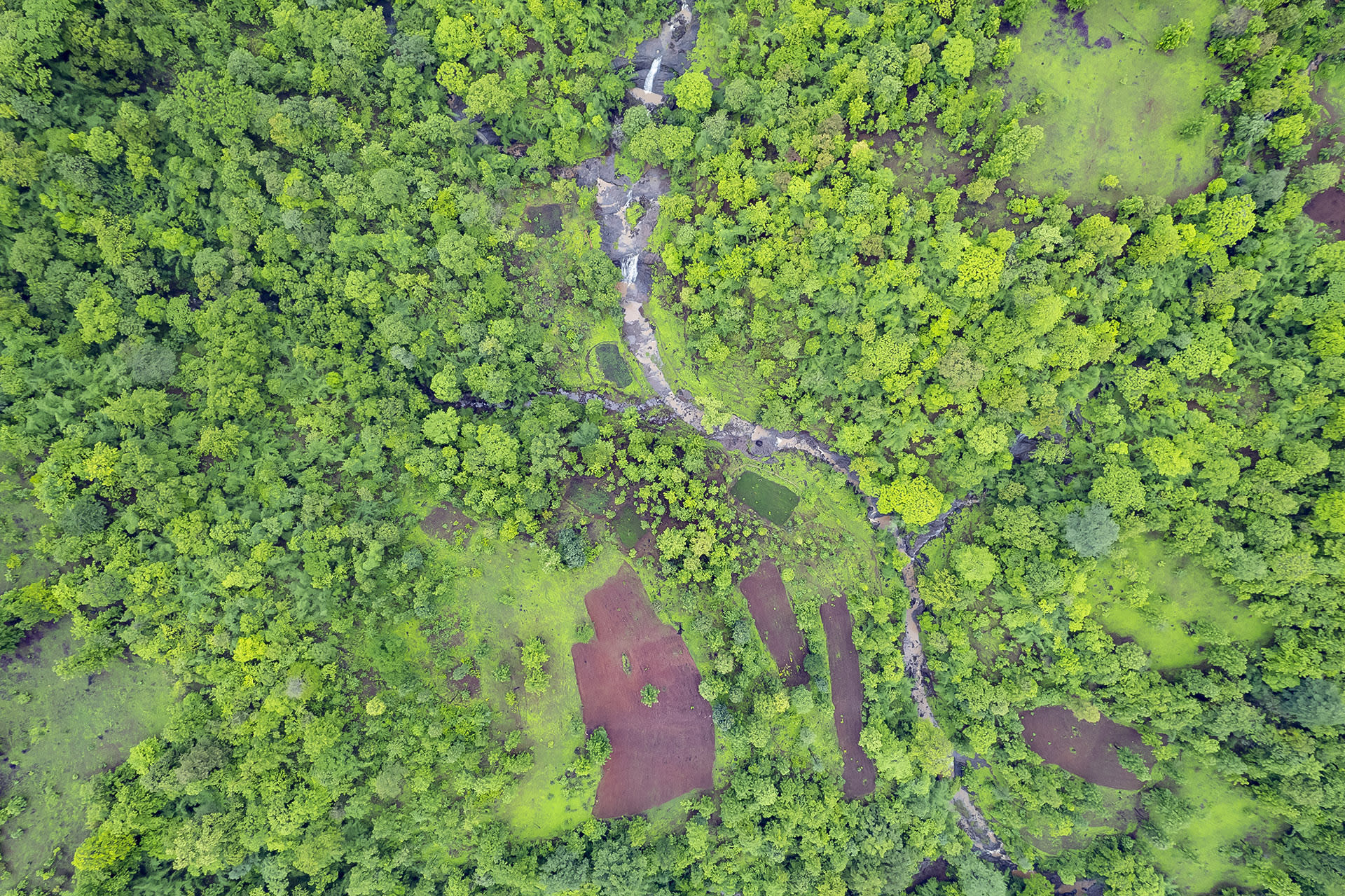 The Guide: Vansda National Park, Gujarat