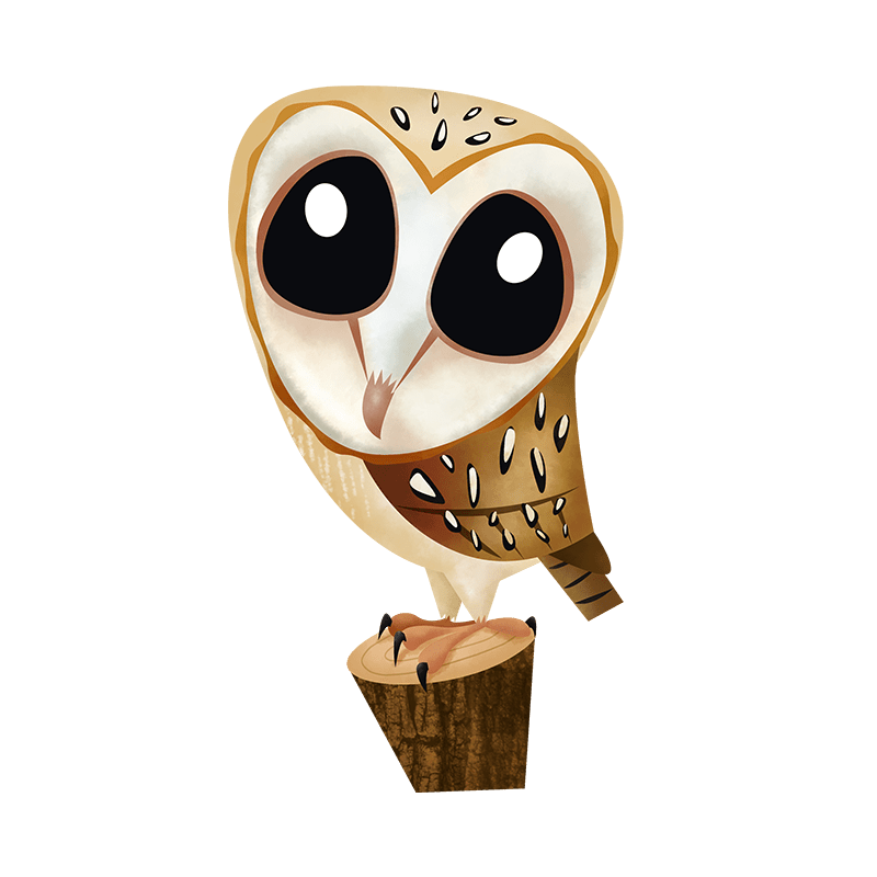 Barn owl