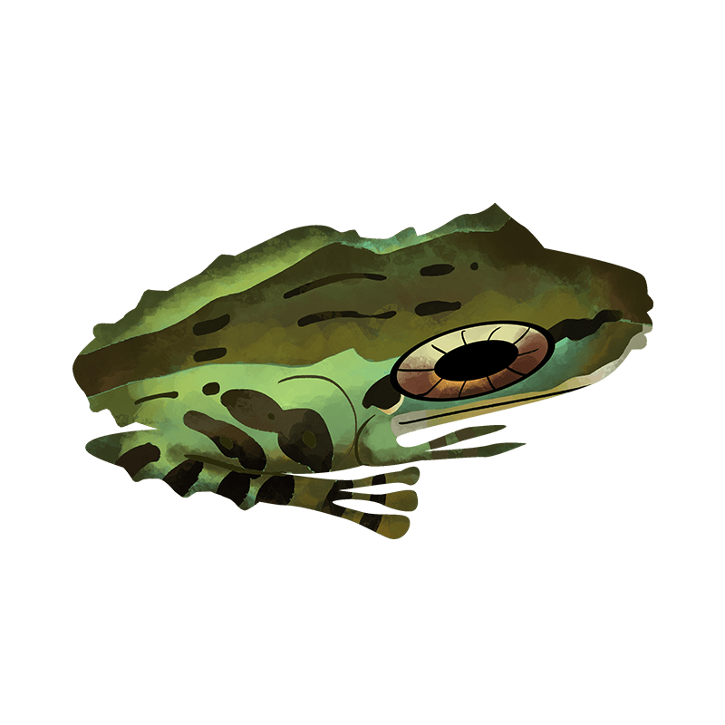 Water drop frog