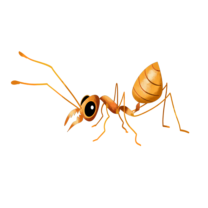 Weaver ants