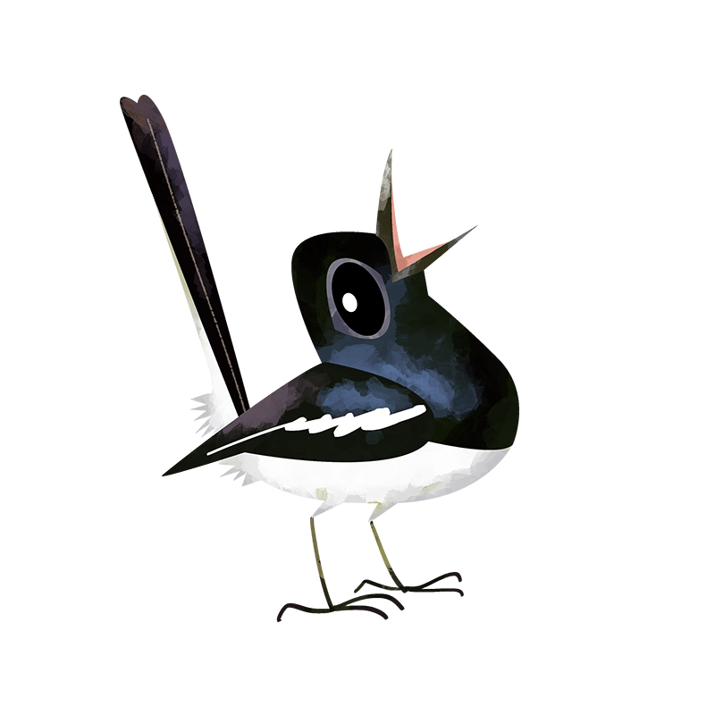 Oriental magpie robin