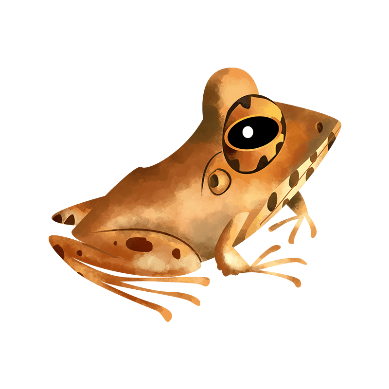 Charles Darwin frog