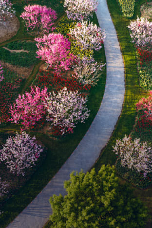 Mindful Walking <br/>Challenge