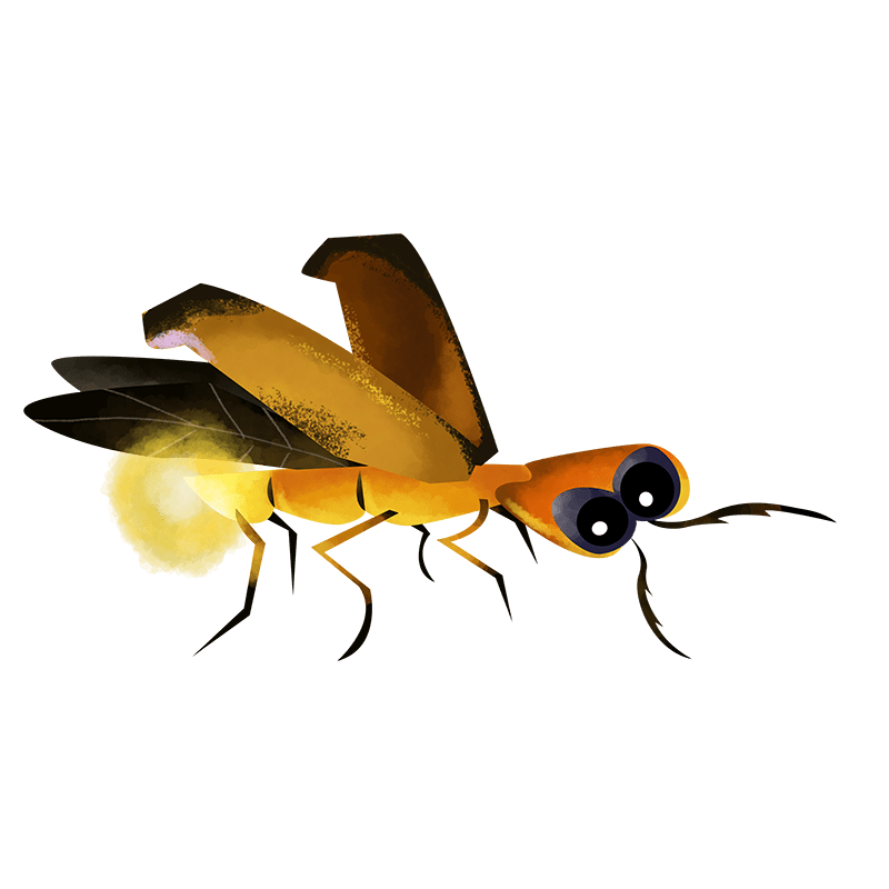 Fireflies