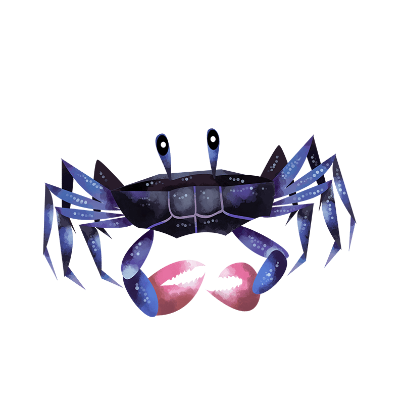 Amboli purple forest crab