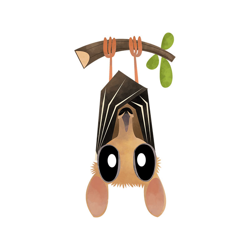 Salim Ali's fruit bat