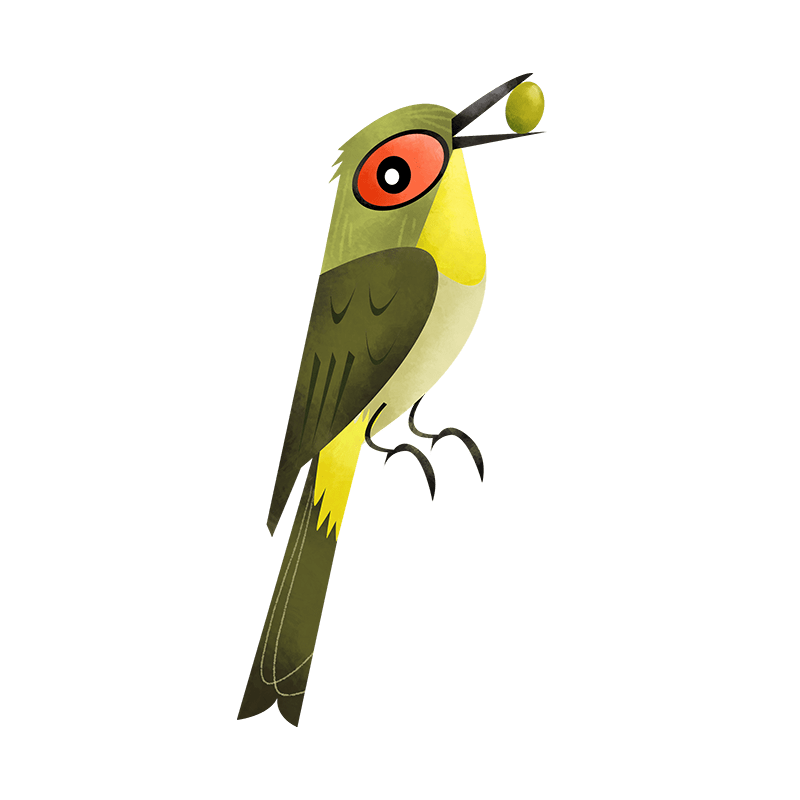 Yellow-throated bulbul