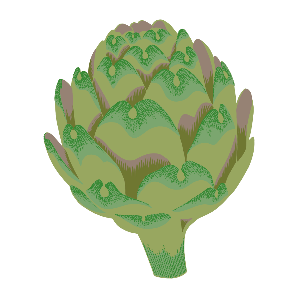 Artichoke