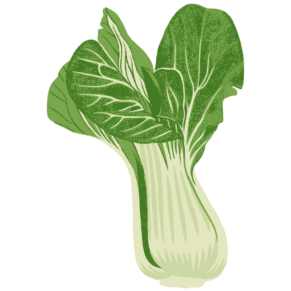 Bok Choy