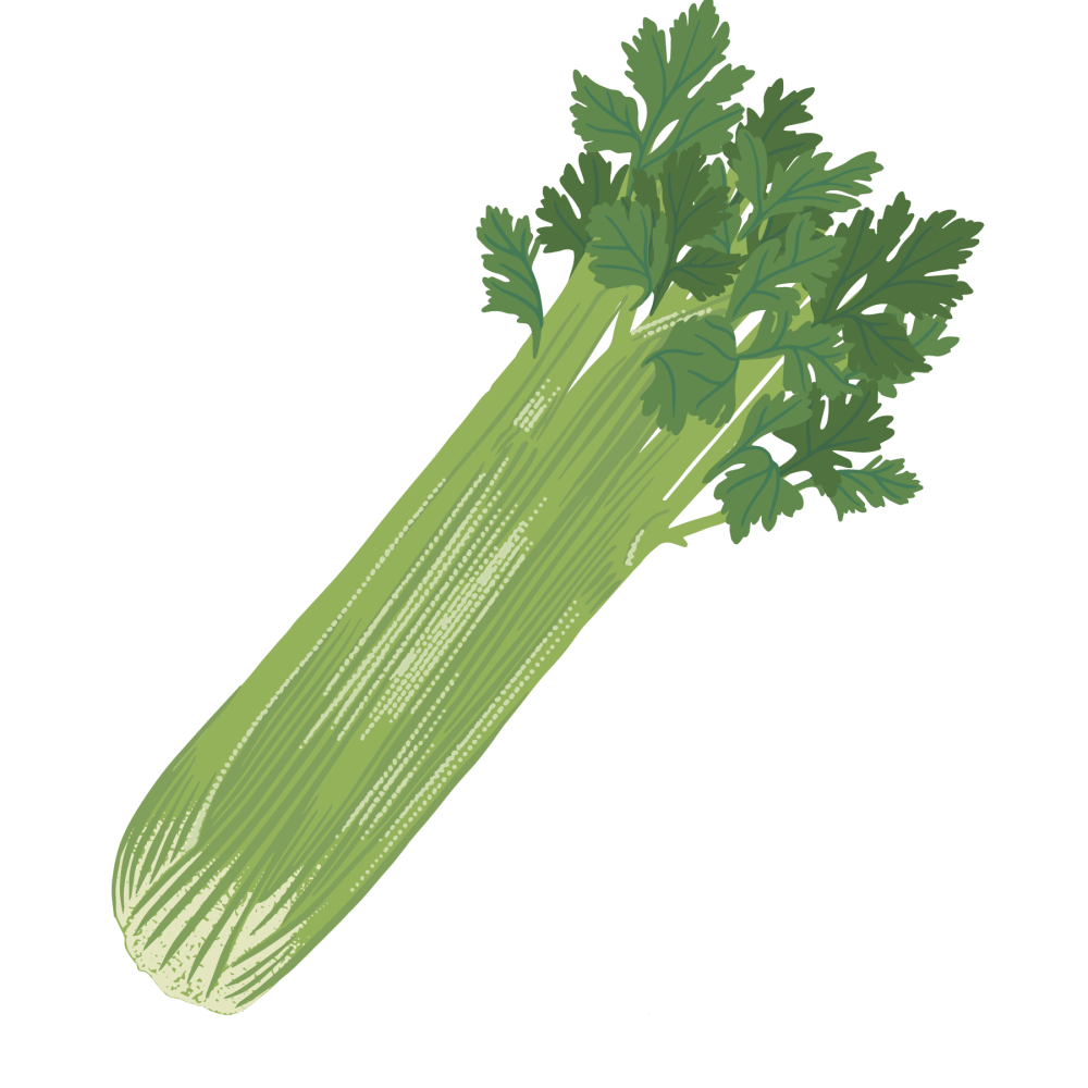 Celery