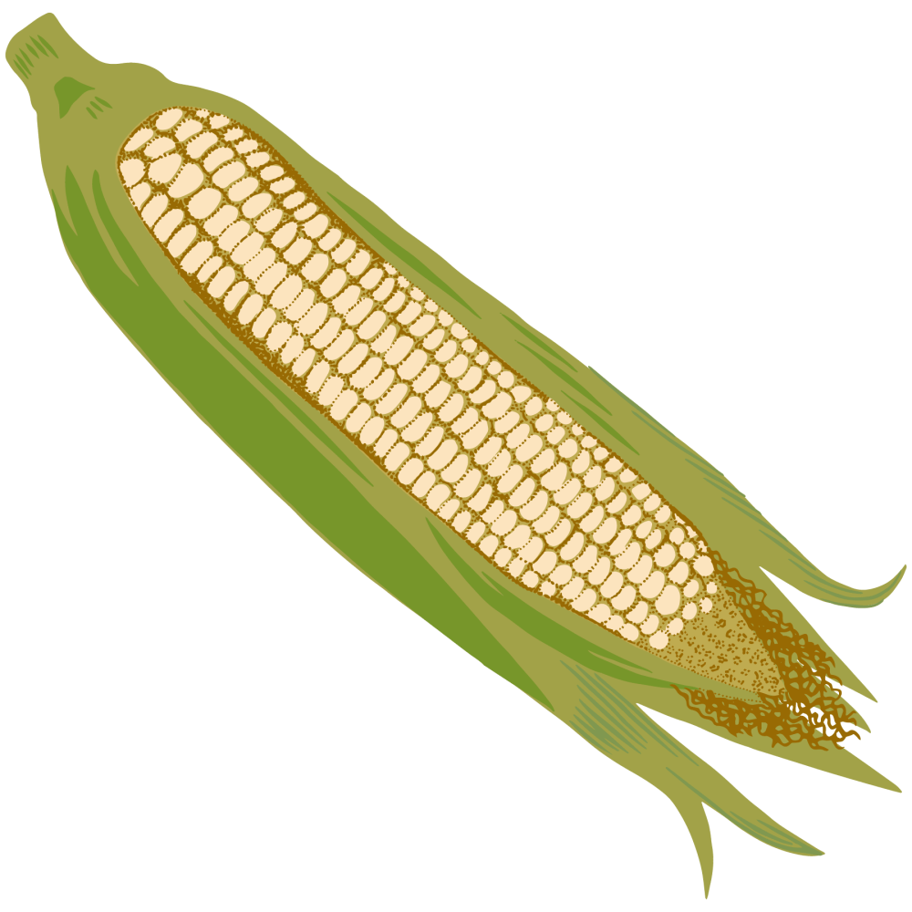 Corn