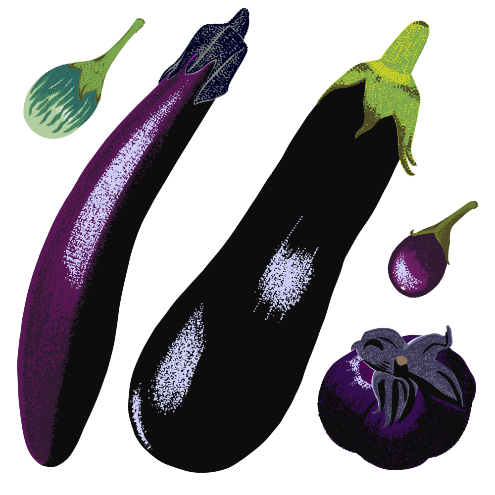 Eggplant
