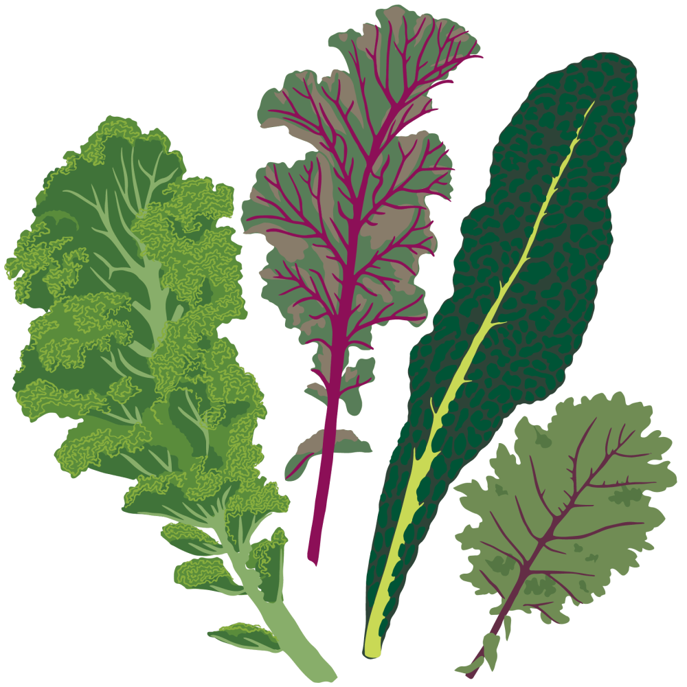 Kale