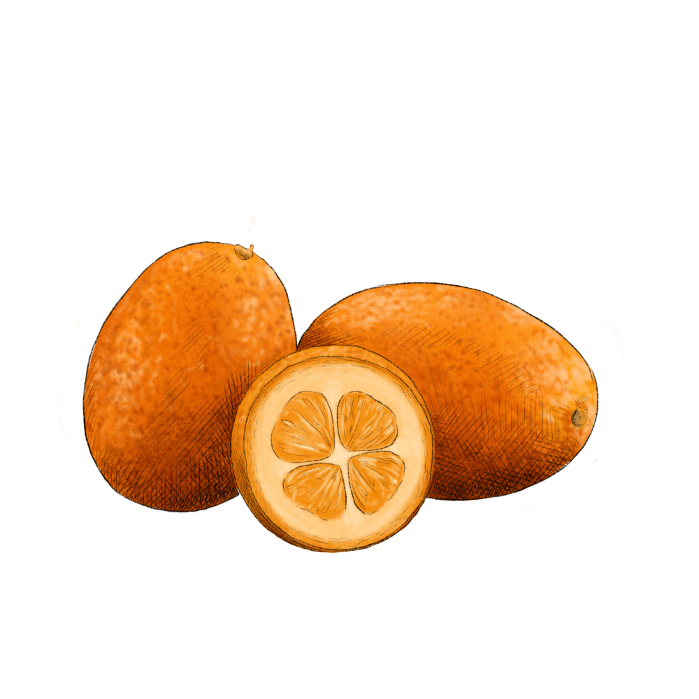 Kumquat