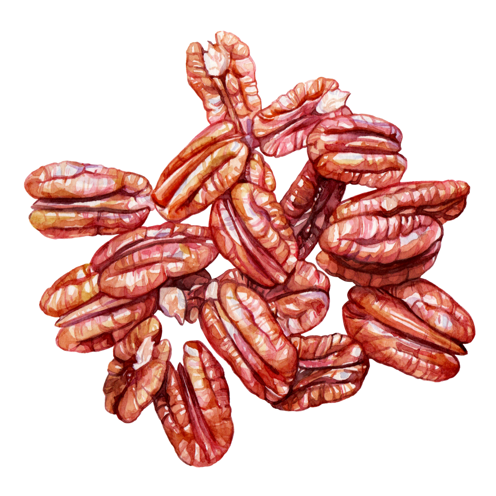 Pecan