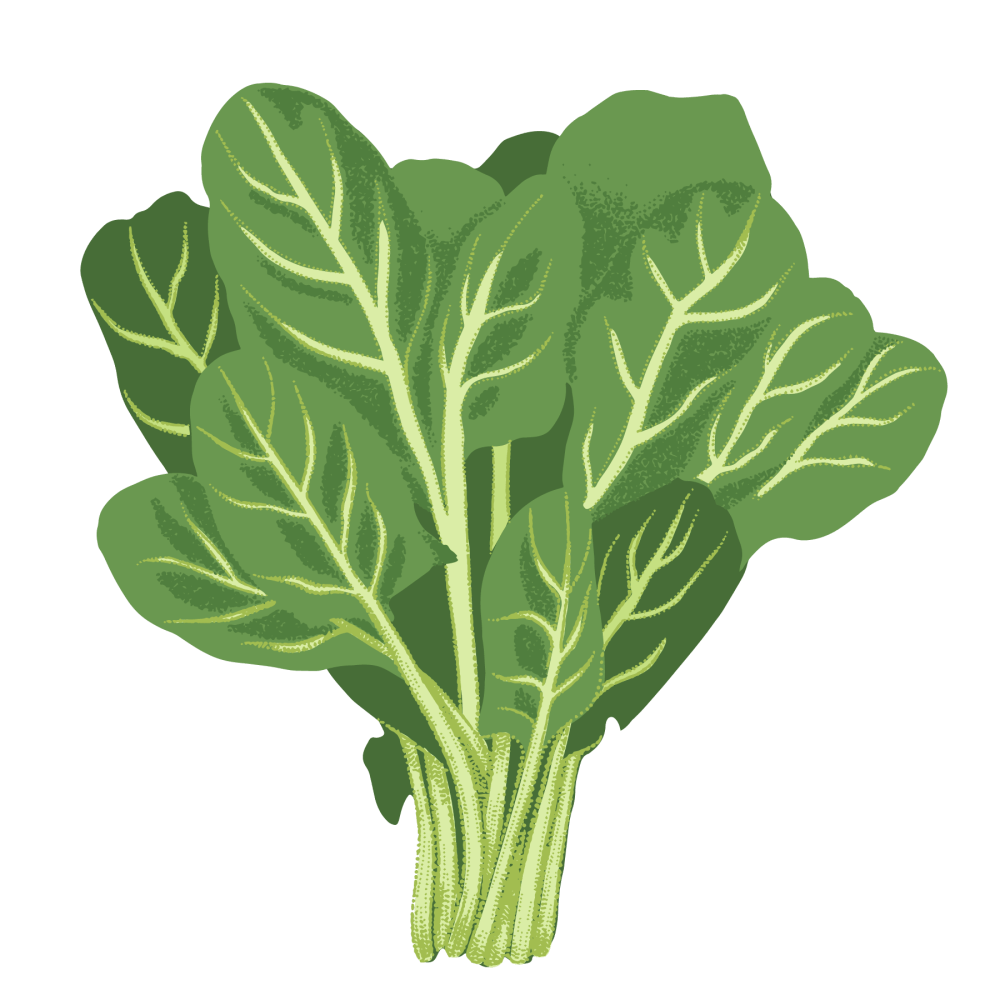 Spinach