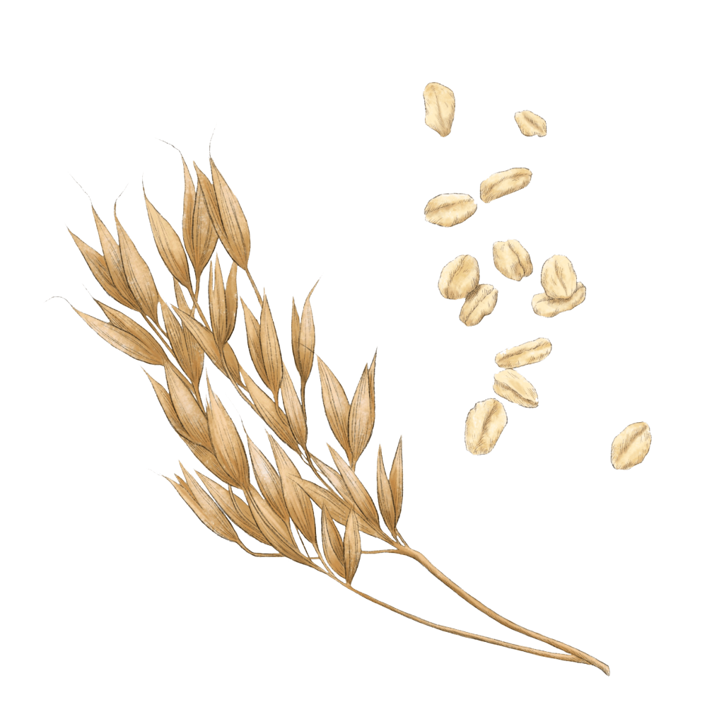 Oat