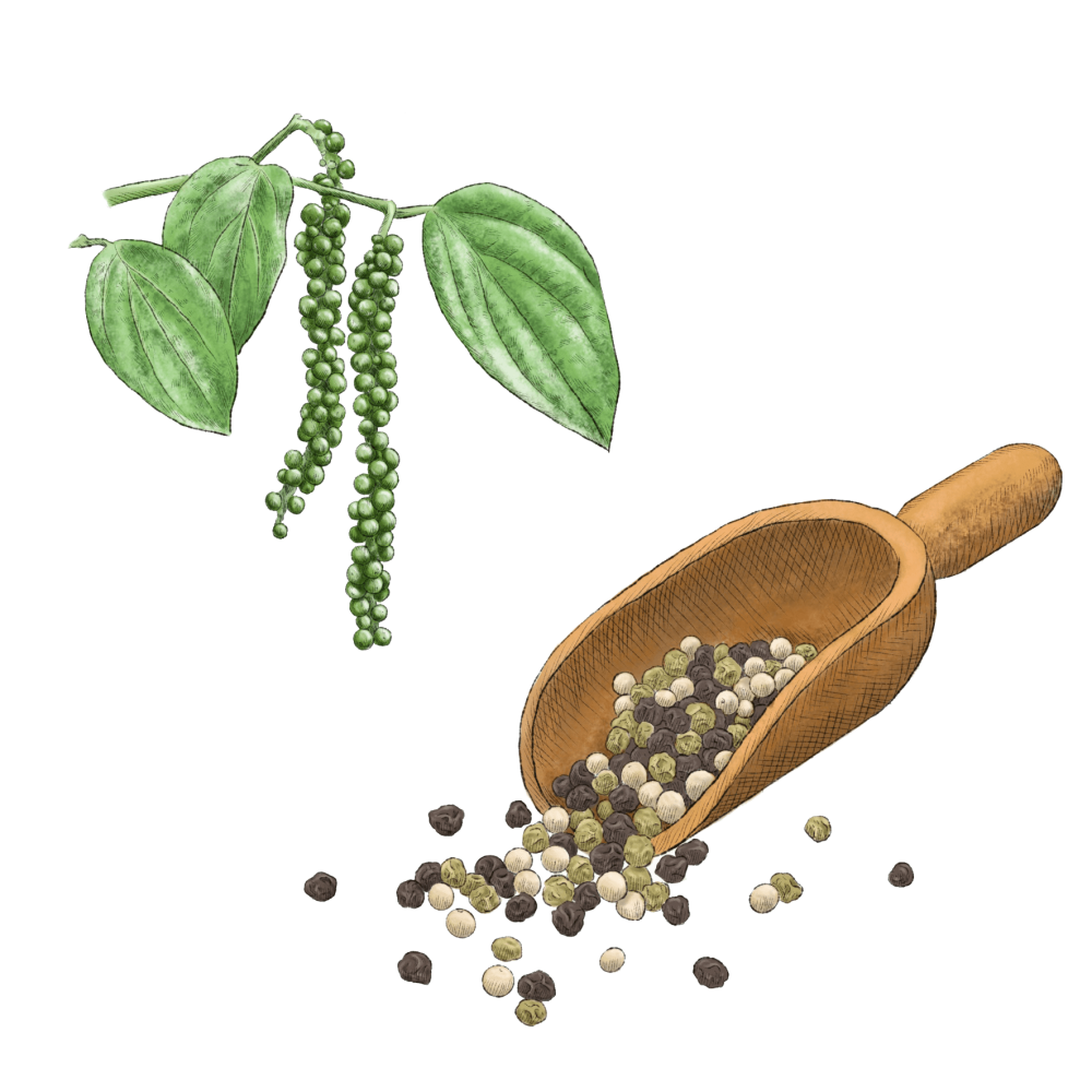 Pepper