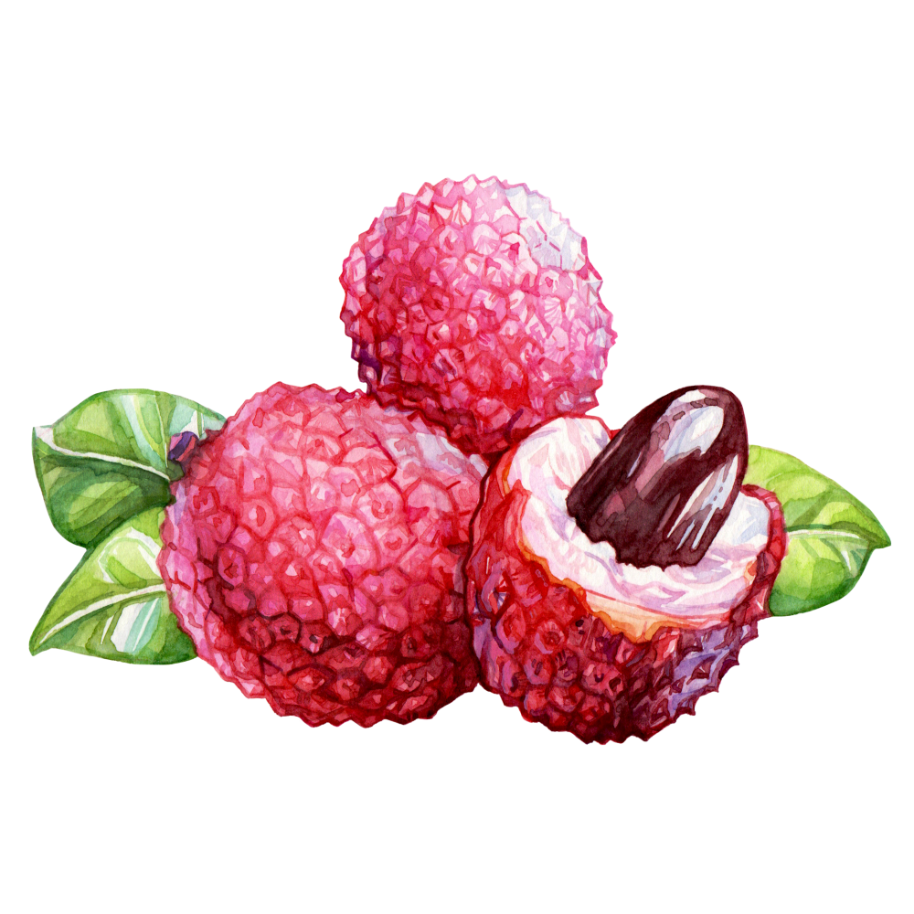 Lychee