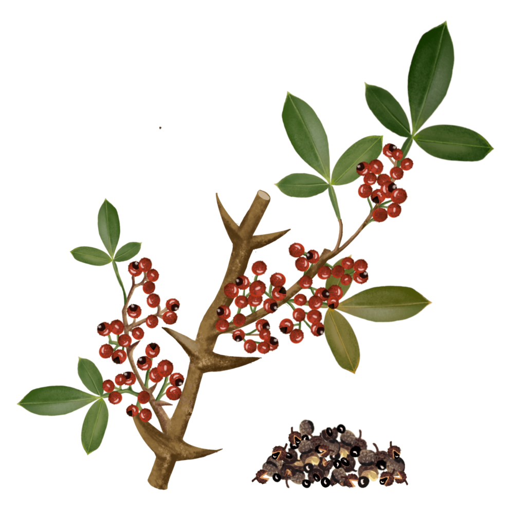 Timur Pepper