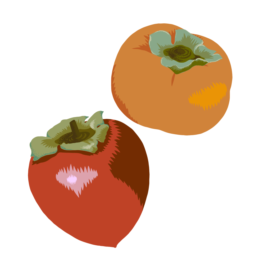 Persimmon