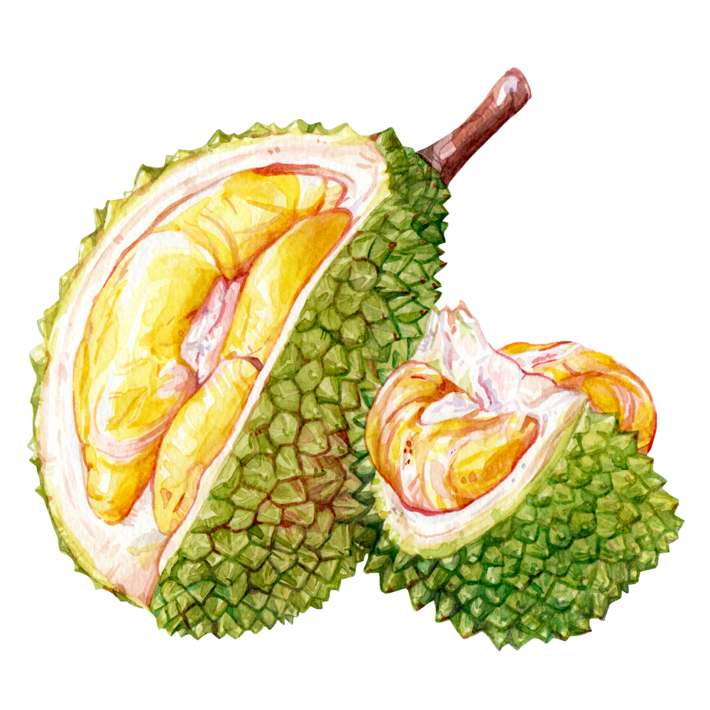 Durian