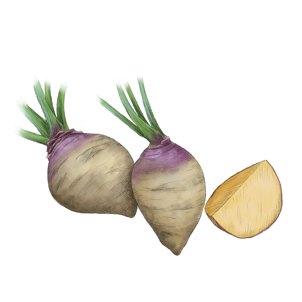 Rutabaga