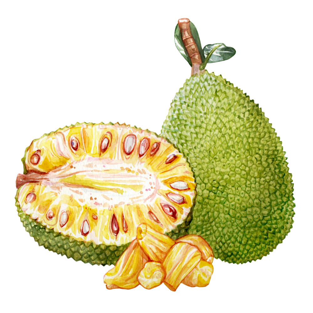 Jackfruit