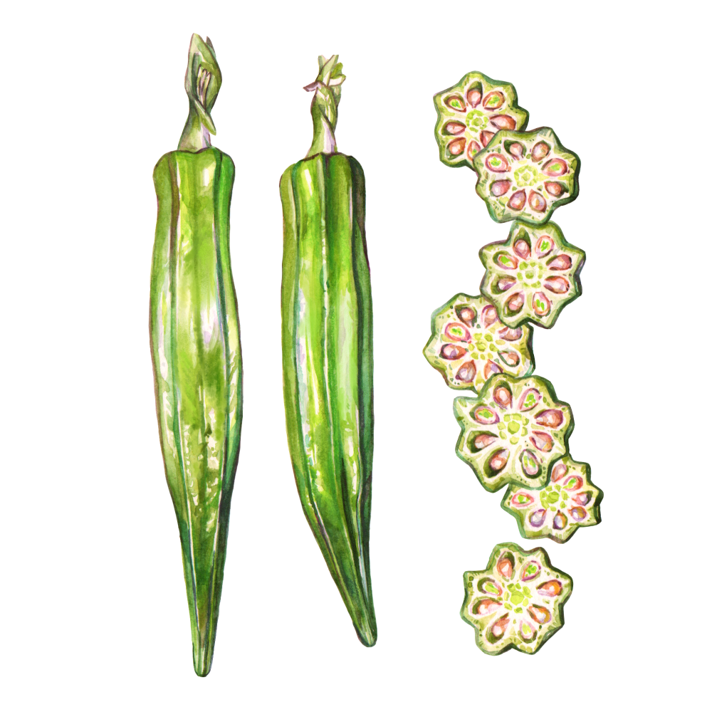 Okra