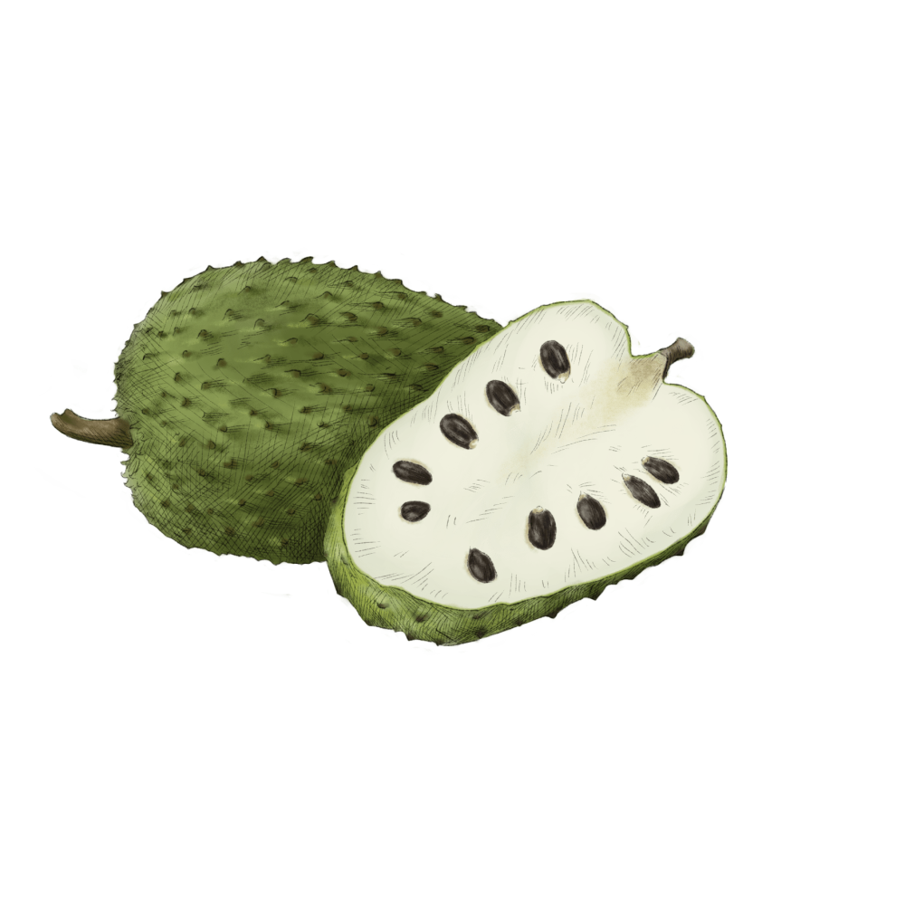 Soursop