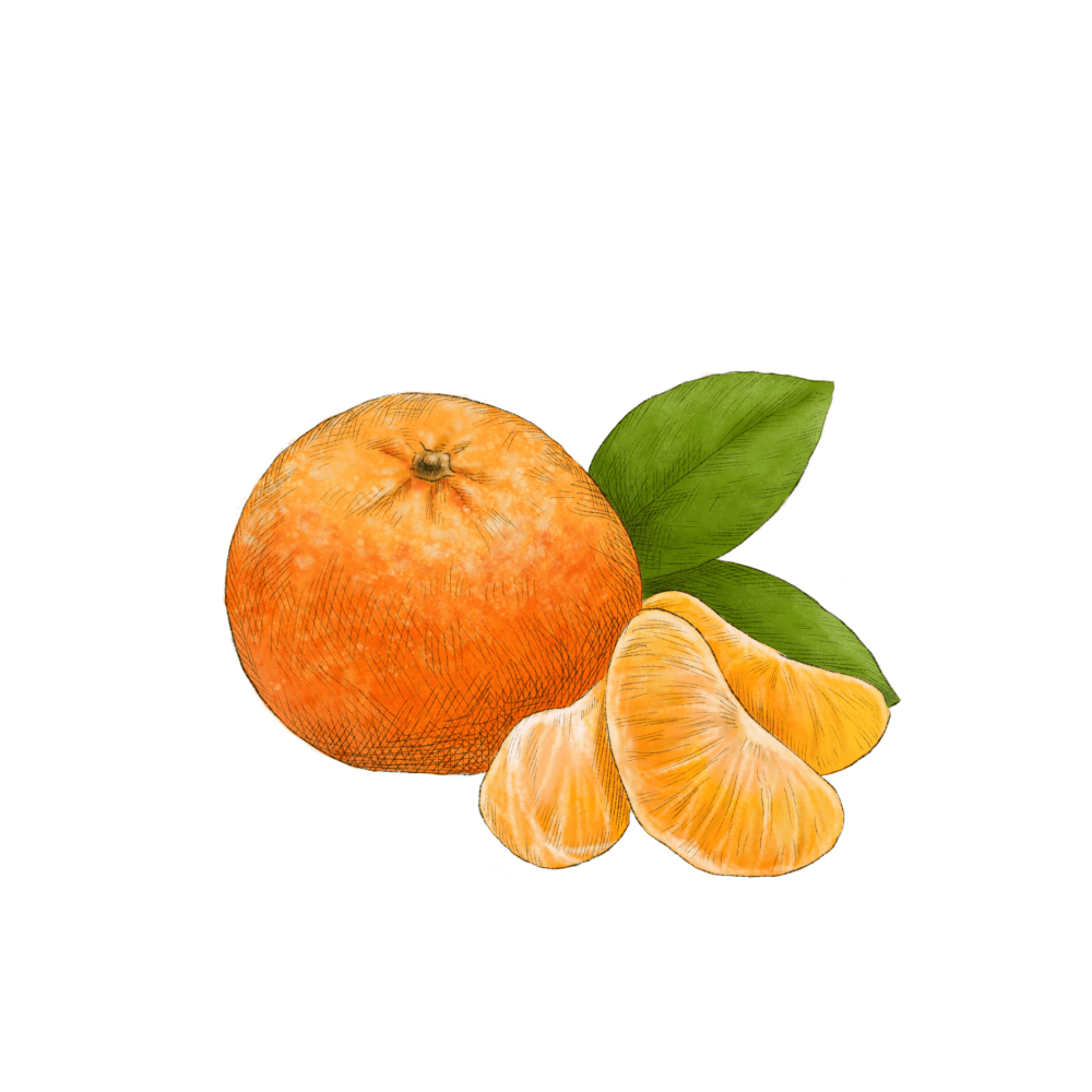 Mandarin Orange