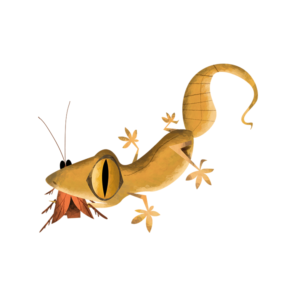 Common house gecko