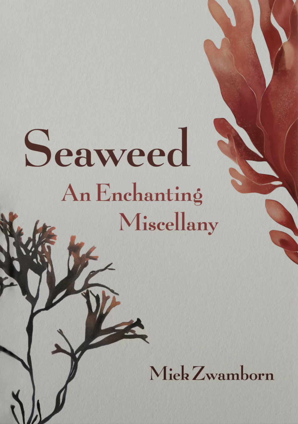 Seaweed