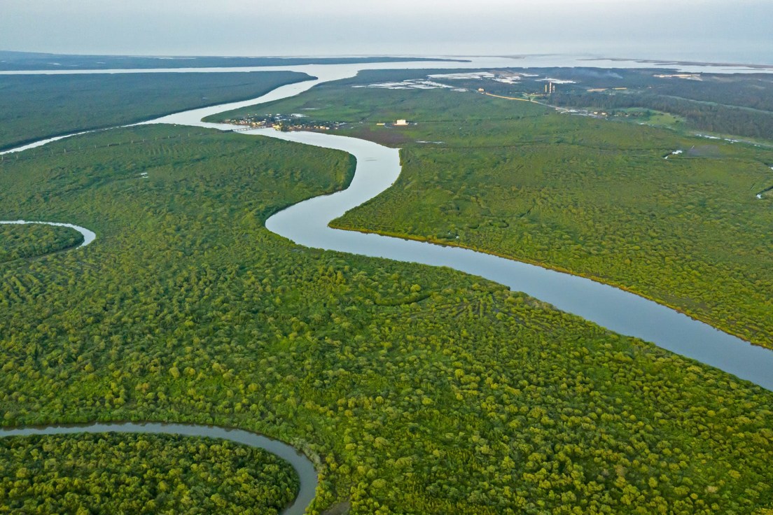 Seagrass Meadows on the Ocean Floor