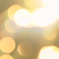 Sun Spots