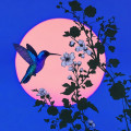 Courting the Moon