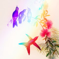 Through the Rainbow