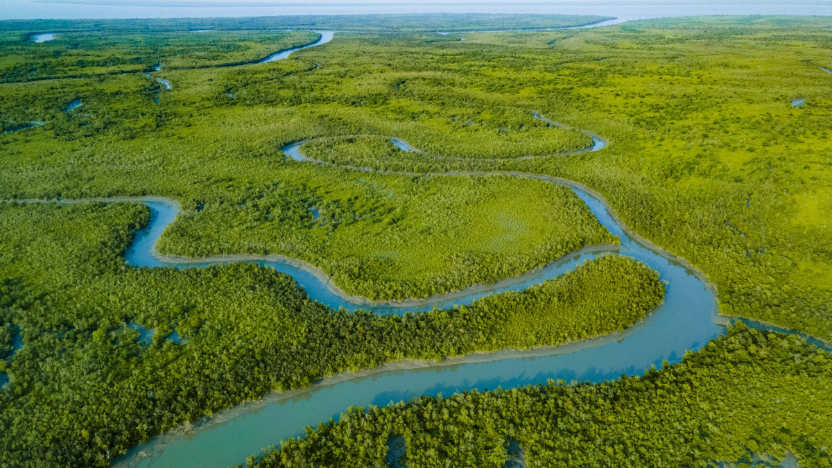 https://res.cloudinary.com/roundglass/image/upload/w_1200%2Car_16%3A9%2Cc_fill%2Cg_face%2Cf_auto/v1698227685/rg/collective/media/sundarbans-aerial-drone-mangrove-habitat-dhritiman-mukherjee-1698227684291.jpg