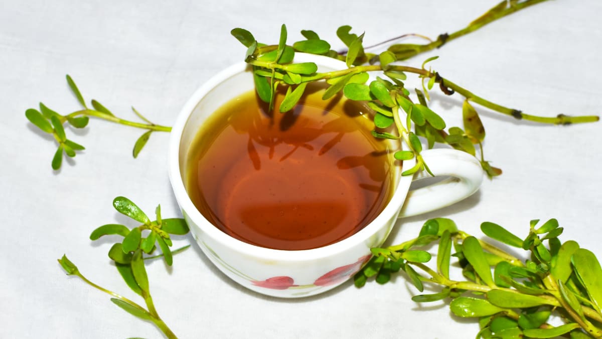 The Goodness of Brahmi, the Traditional Indian Brain Food