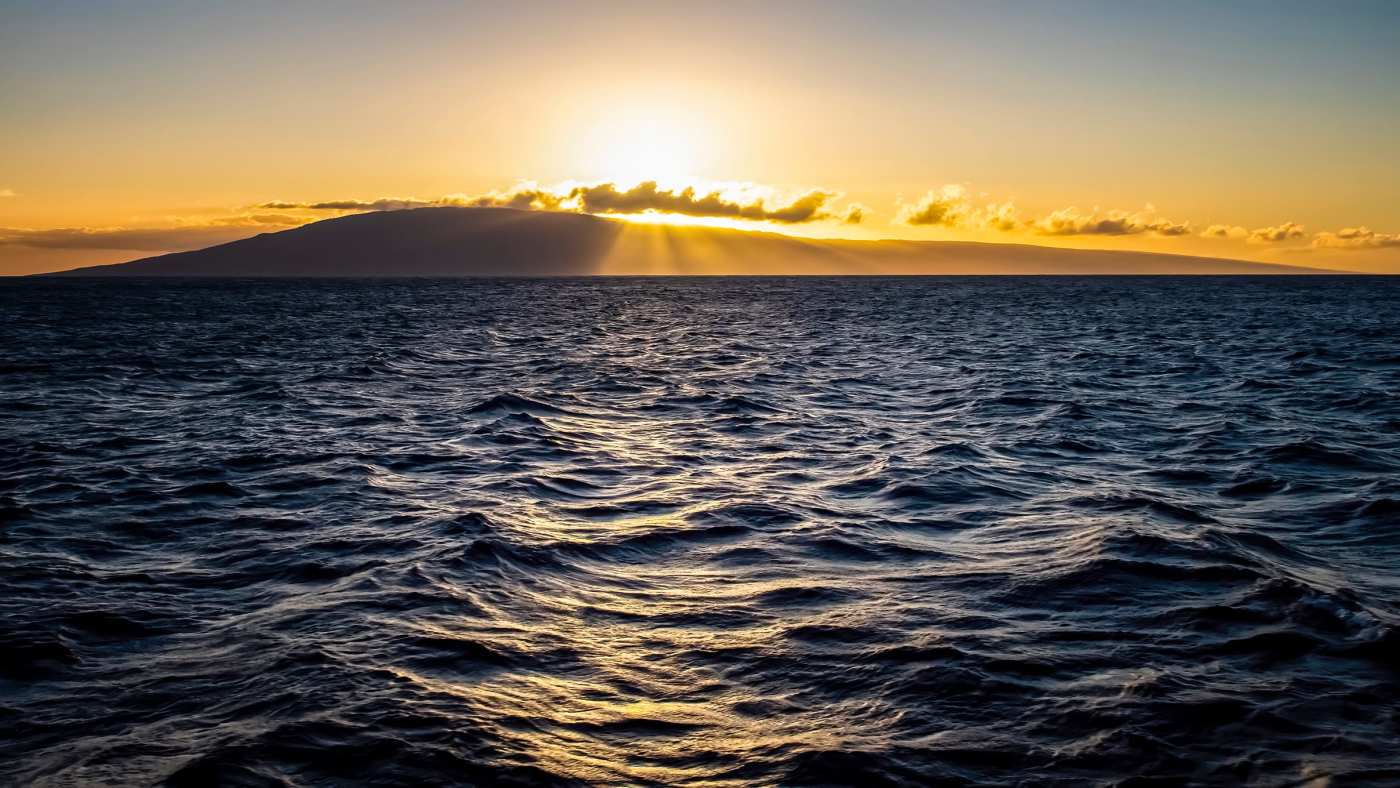 Learn to Downshift Anxiety Roundglass Living