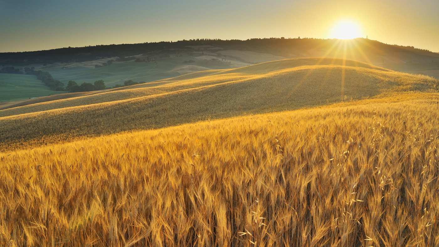 Morning Meditation: Set an Intention