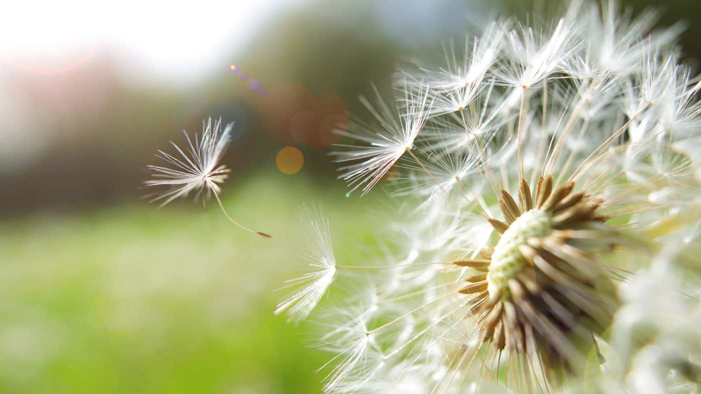 Meditation to Uplift Your Spirit