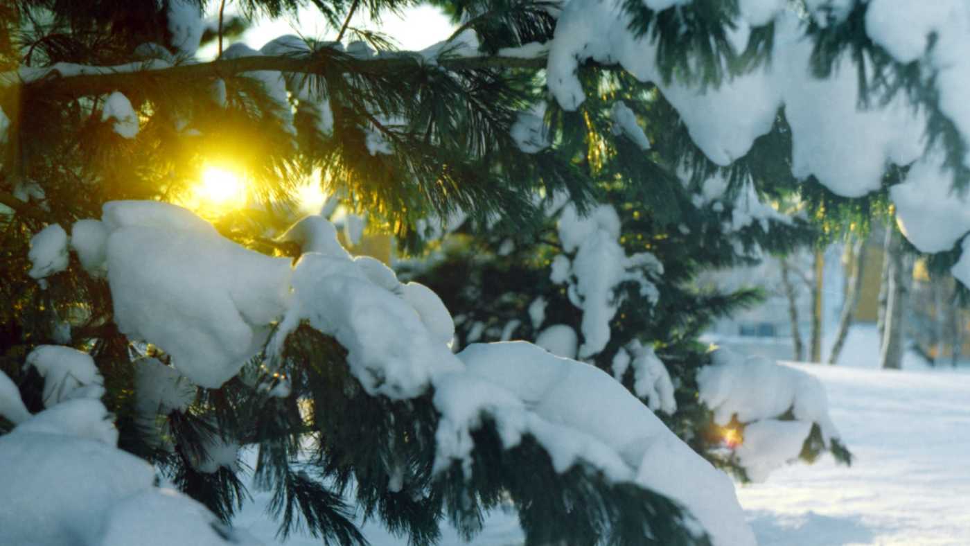 Winter Solstice Meditation