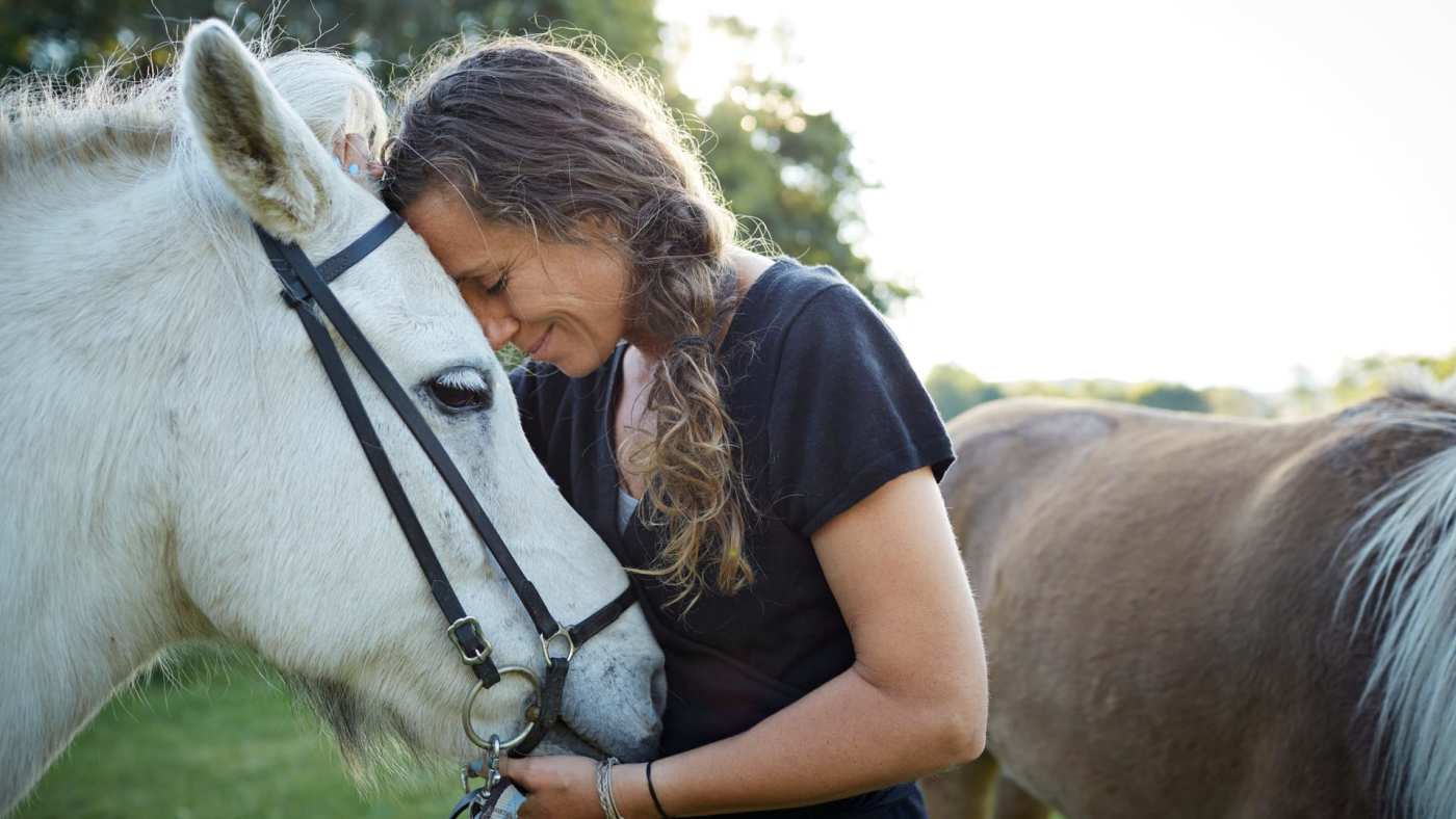 Reveal Wisdom With Your Pet