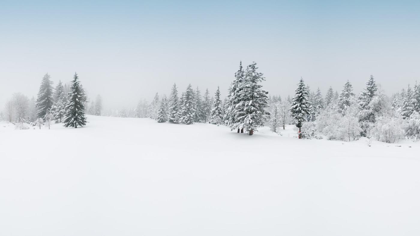 Winter’s Tale Visualization