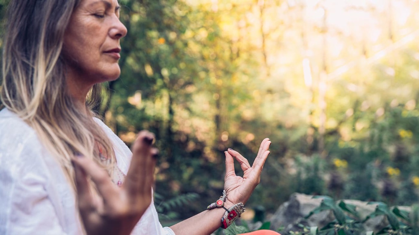 Find Stillness in the Forest
