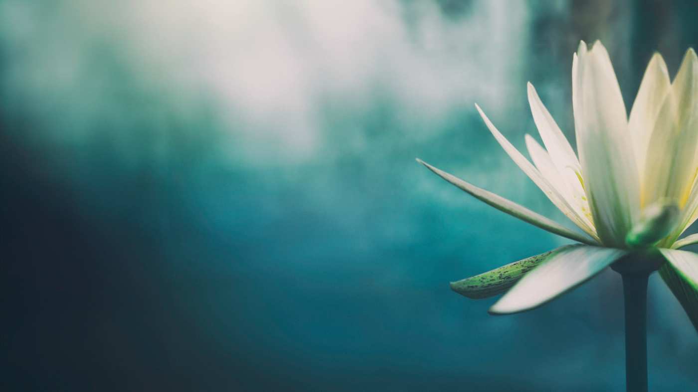 Cope with Unexpected Stress