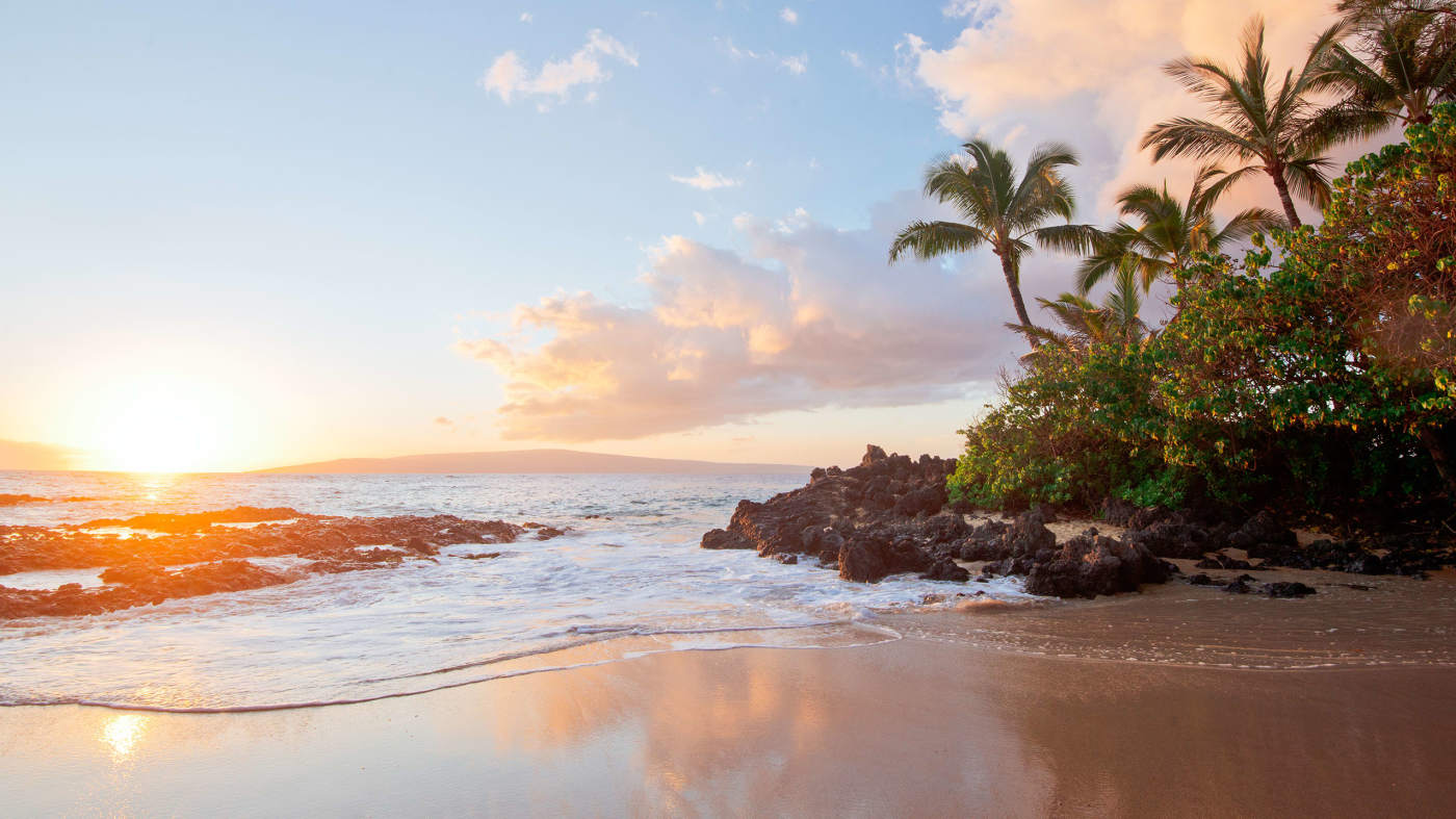 Escape to the Beach