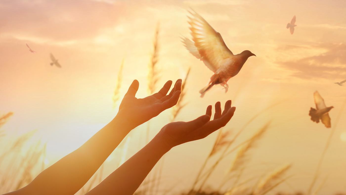 Forgive Yourself and Others