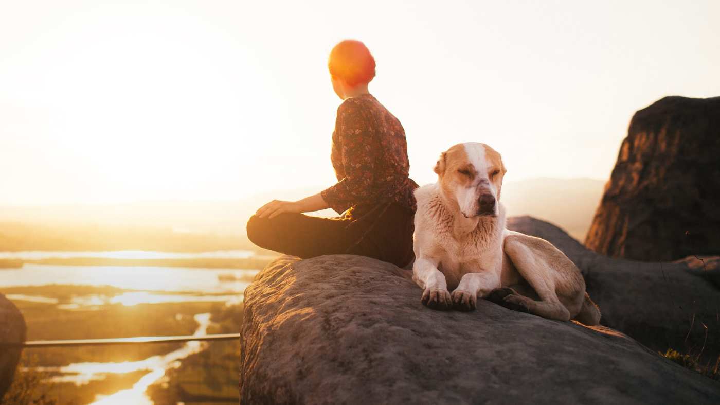 How to Meditate with Your Pet